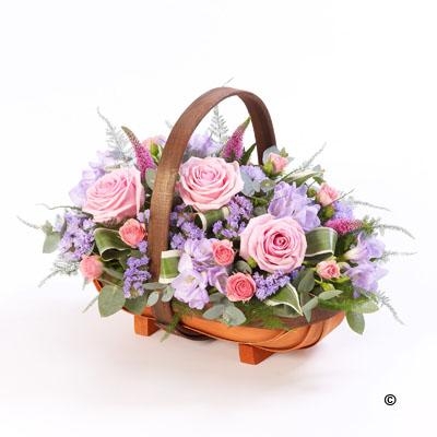 Trug Arrangement in Various Colours