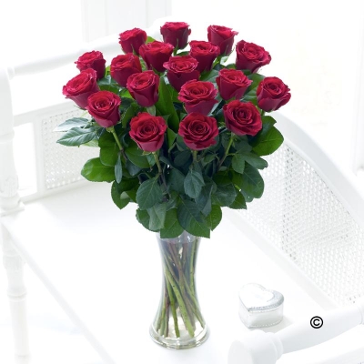 Elegant Red Rose Vase**