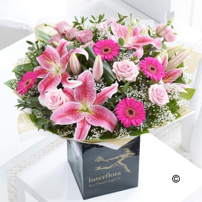 Large Pink Radiance Hand tied with Rose Wine**