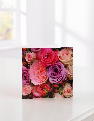 Pink Rose Greetings Card**