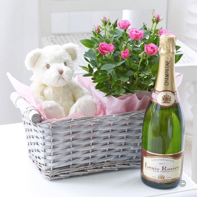 Celebratory Baby Girl Gift Basket