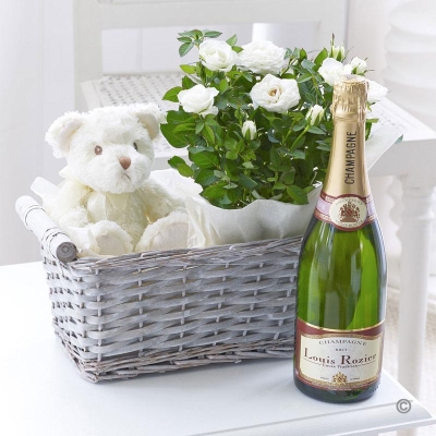 Celebratory Baby Gift Basket
