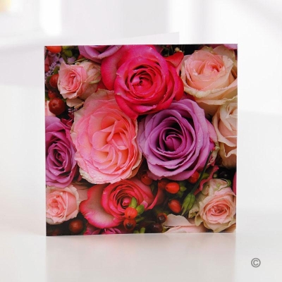 Pink Rose Greeting Card