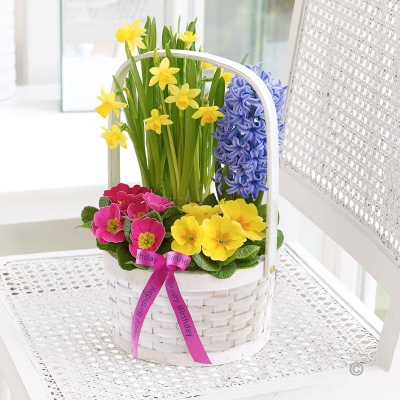 Happy Birthday Spring Planted Basket 2016