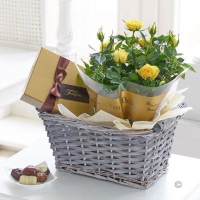 Spring Rose and Chocolates Gift Basket 2016