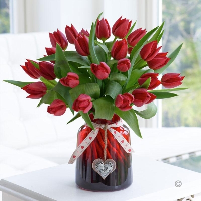 Red Tulip Vase