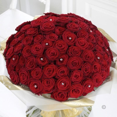 Ultimate 100 Rose Hand tied