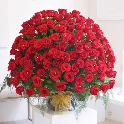 WOW! 200 Red Rose Arrangement