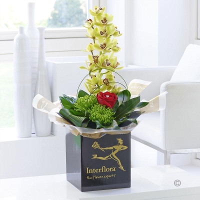 Romantic Orchid Arrangement with Chocolate Truffles