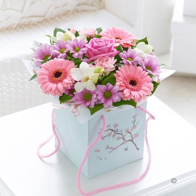 Mothers Day Gift Bag