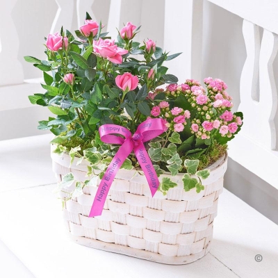 Happy Birthday Pink Rose and Kalanchoe Basket