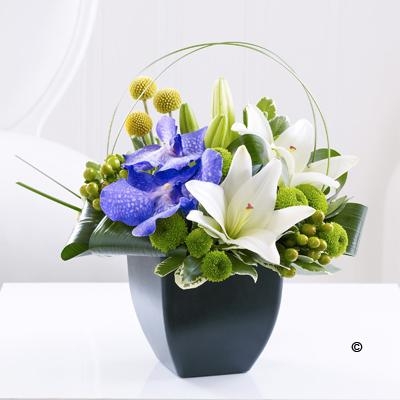 Lily and Vanda Orchid Arrangement – buy online or call 01732 450145
