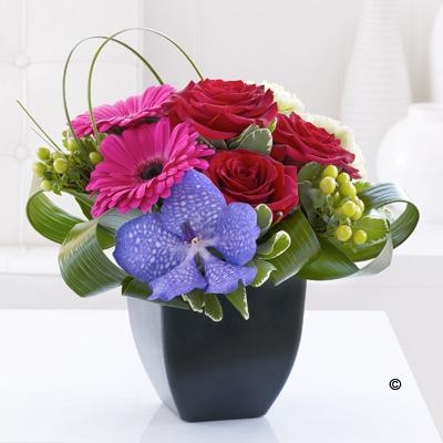 Rose, Gerbera and Vanda Orchid Arrangement