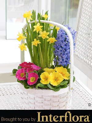 Spring Planted Basket