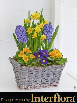 Classic Spring Planter