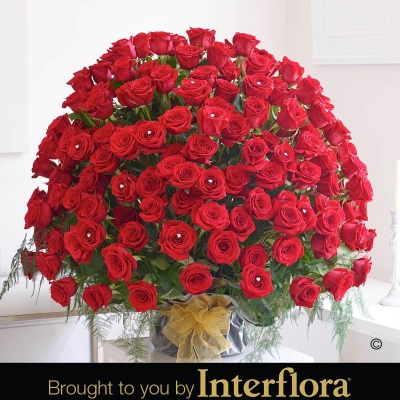 WOW 200 Red Rose Arrangement.