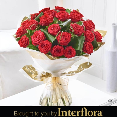 24 Luxury Long  stem Roses