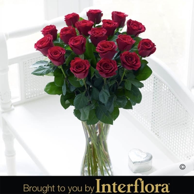 Elegant Red Rose Vase with Belgian Chocolates