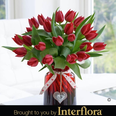 Valentines Red Tulip Vase with Chocolates