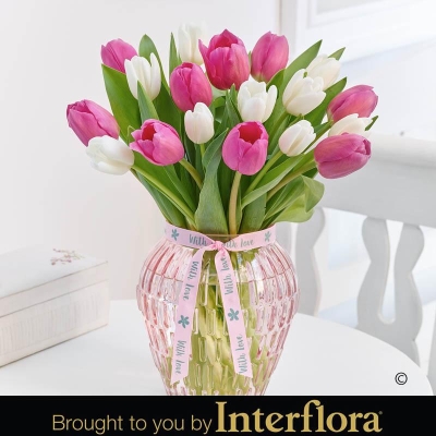 Mothers Day Pink and White Tulip Vase with Prosecco