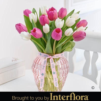 Mothers Day Pink and White Tulip Vase with 180g Belgian Chocolates