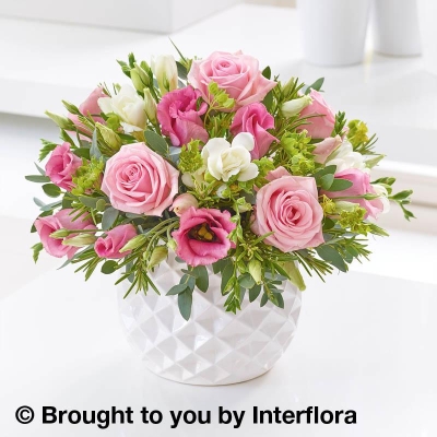 Marshmallow Pink Rose & Freesia Arrangement