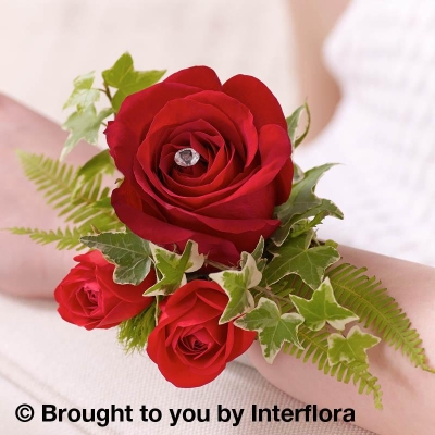 Red Rose & Fern Wrist Corsage