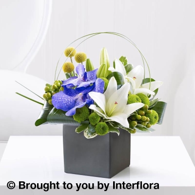 Lily & Vanda Orchid Arrangement