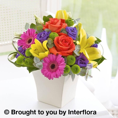 Vibrant Exquisite Arrangement with 125g Maison Fougere Chocolates