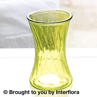 Swirl Nigella Glass Vase Lime