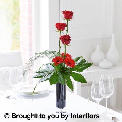 Elegant Crimson Rose & Germini Vase