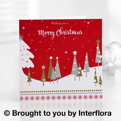 Christmas Greetings Card