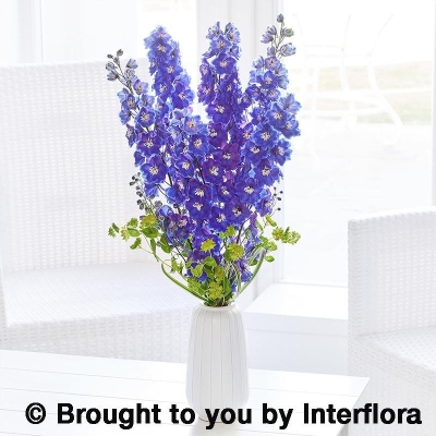 Dreamy Delphinium Vase