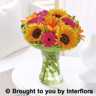 Sunflower Perfect Gift with Belgian Chocolates