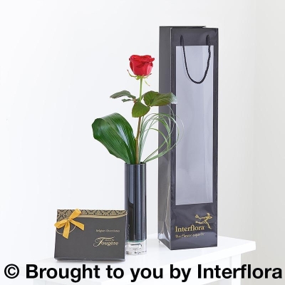 Single Red Rose Gift Set