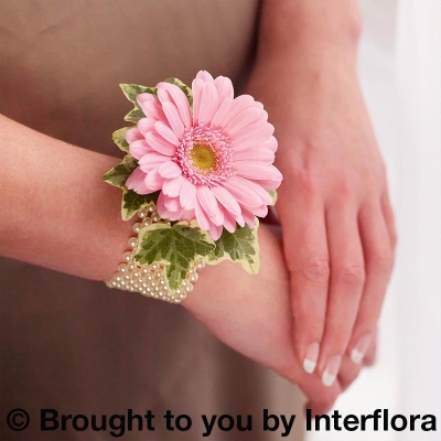 Pale Pink Germini and Pearl Wrist Corsage