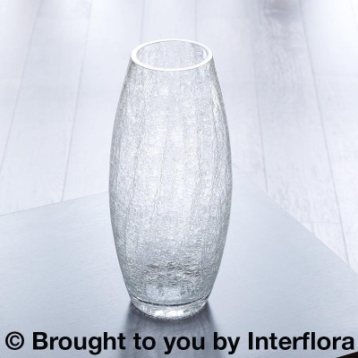 Curved Cylinder Crackle Glass Vase