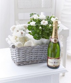 Celebratory Baby Gift Basket**