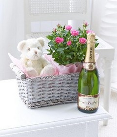 Celebratory Baby Girl Gift Basket**