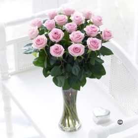 Elegant Pink Rose Vase**