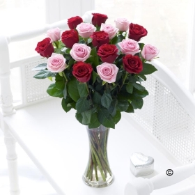 Elegant Pink and Red Rose Vase**