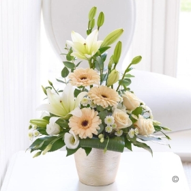 Cream Elegance Arrangement