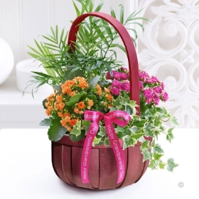 Grandparents Day Flowering Basket 2015