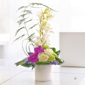 Exquisite Orchid Arrangement
