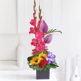 Summer Orchid and Gladioli Arrangement 2016