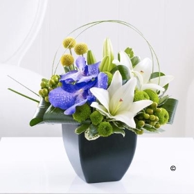 Lily and Vanda Orchid Arrangement with 125g Maison Fougere Chocolates