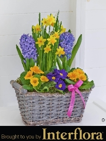 Happy Birthday Classic Spring Planter