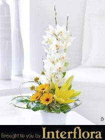 Ultimate Chic Orchid and Germini Arrangement