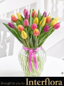 Happy Birthday Mixed Tulip Vase