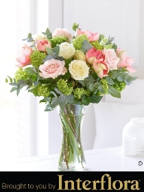 Elegant Rose and Amaryllis Hand tied